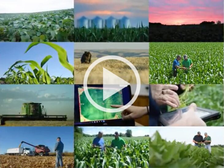 Screenshot of a video before playing