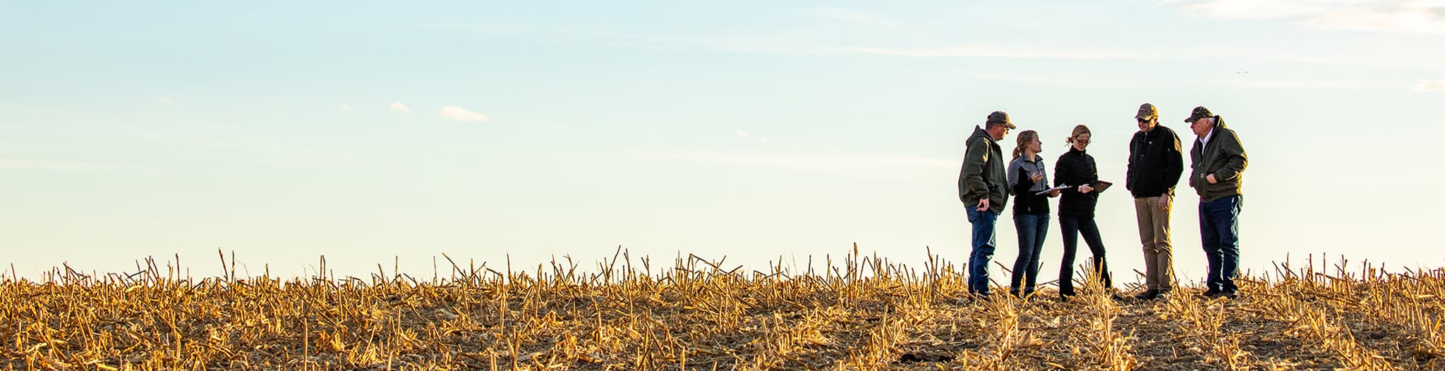 five people in a field talking
