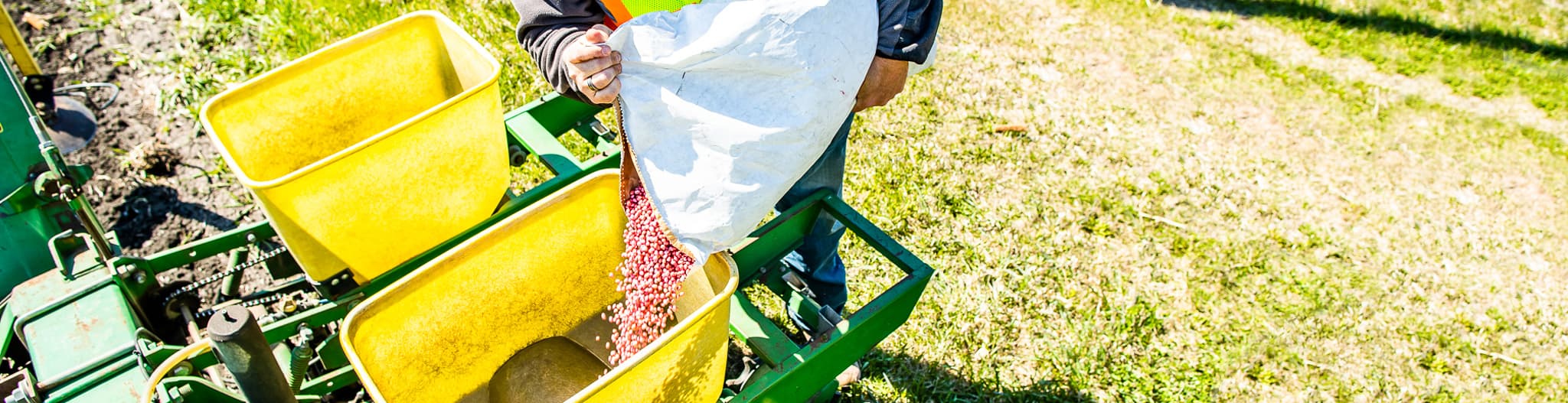 Seed being put in a planter