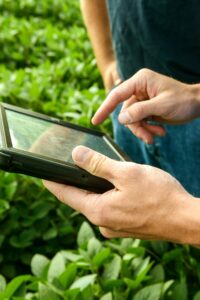 person typing on a tablet