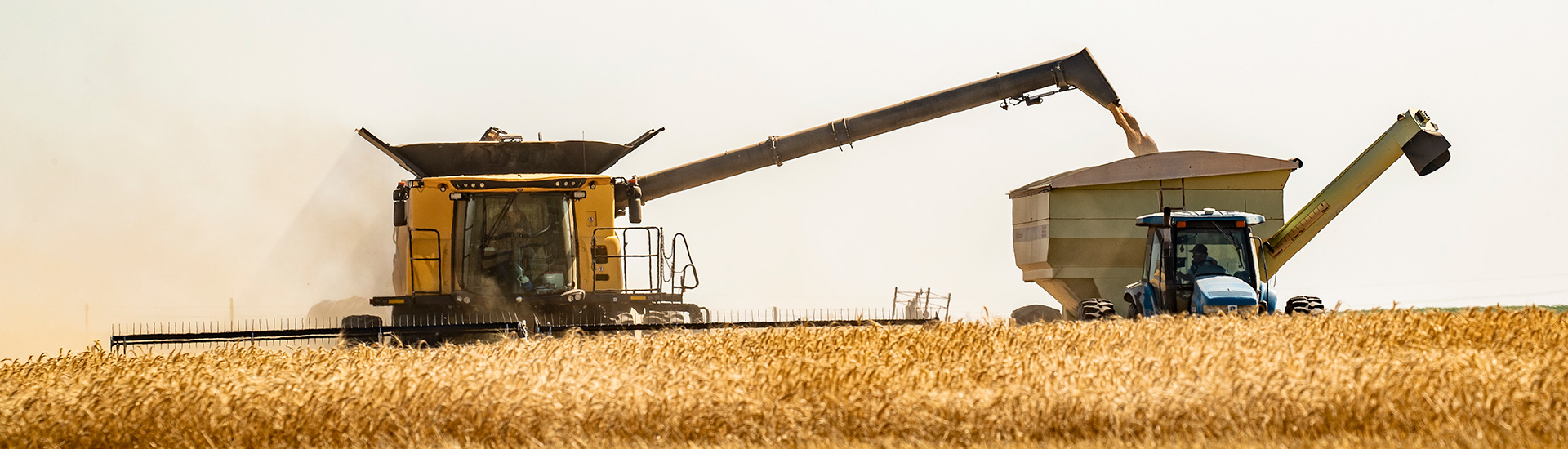 Combine and grain cart in a field