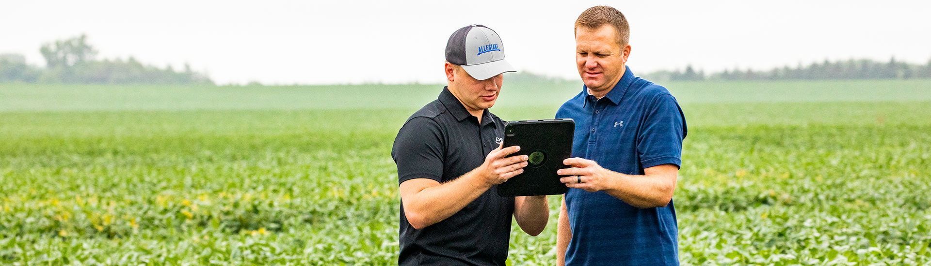 Producer and agronomist in a field