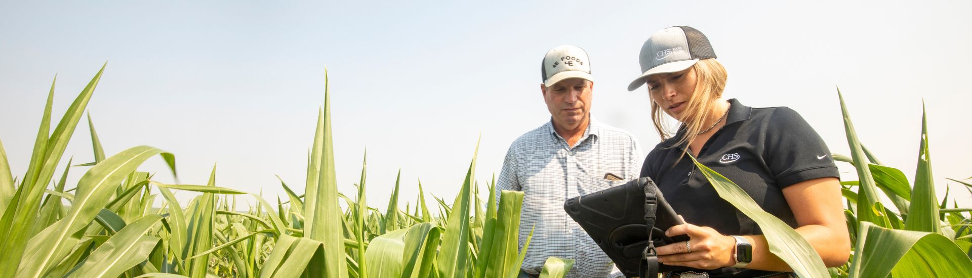 A women and a man talking in a corn field.