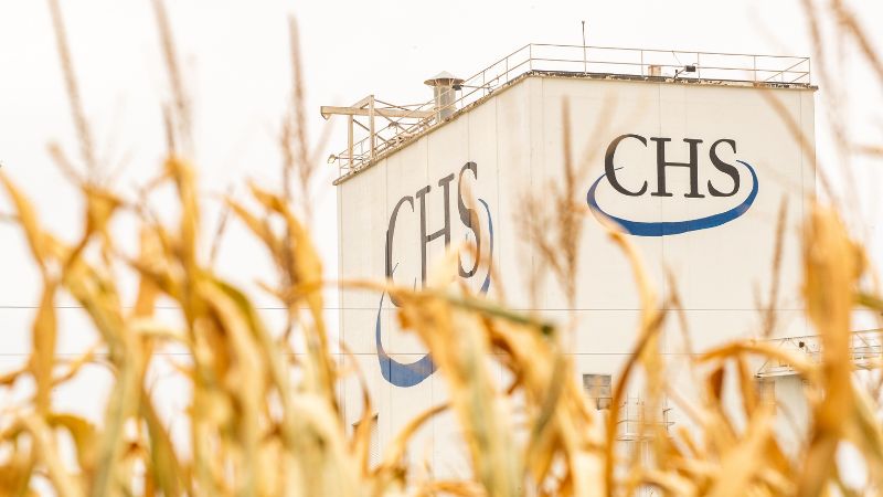Corn field with a CHS building in the background.. 